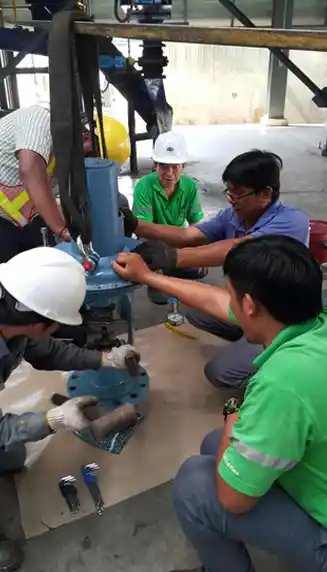 Industrial boiler plant structural setup with air pollution control electro static precipitator system at CAS Paper Mill Thailand.