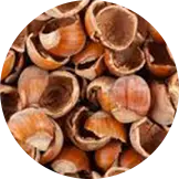 Coconut Shell