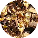 Coffee Husk