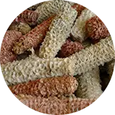 Corn Cobs