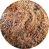 Empty Fiber Bunches
