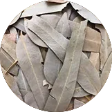 Eucalyptus Leaves