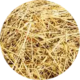 Paddy Straw