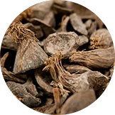 Palm Kernel