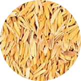 Rice Husk